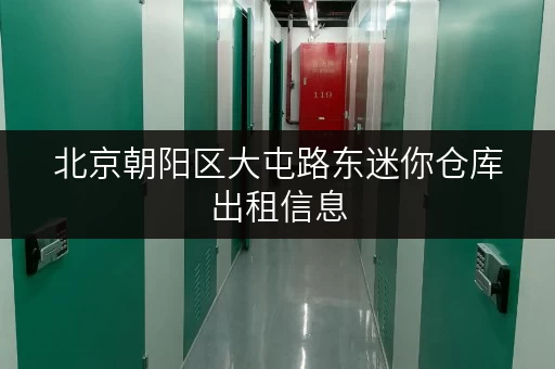 北京朝阳区大屯路东迷你仓库出租信息，安全可靠，拎包入住！