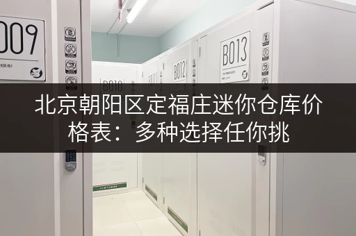 北京朝阳区定福庄迷你仓库价格表：多种选择任你挑