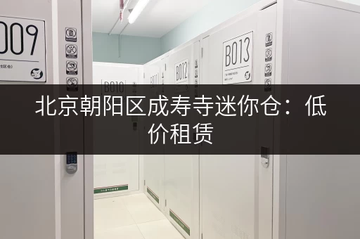 北京朝阳区成寿寺迷你仓：低价租赁，多种规格，满足您的存储需求！