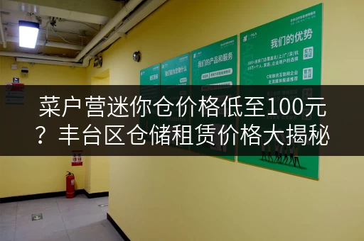 菜户营迷你仓价格低至100元？丰台区仓储租赁价格大揭秘