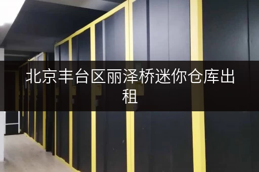 北京丰台区丽泽桥迷你仓库出租，价格实惠，方便快捷