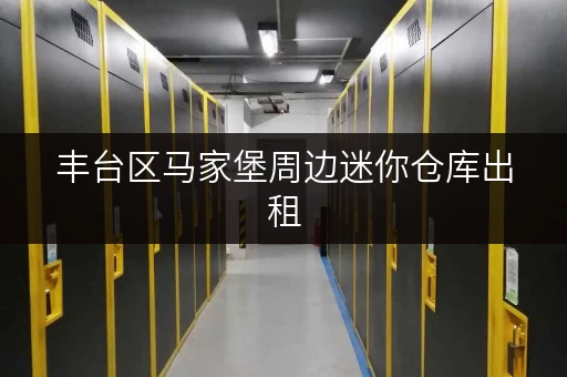丰台区马家堡周边迷你仓库出租，多种面积选择，满足您的需求！
