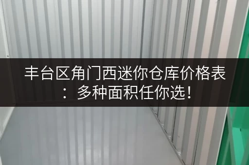 丰台区角门西迷你仓库价格表：多种面积任你选！