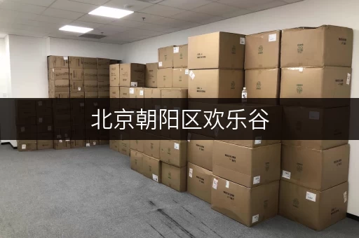 北京朝阳区欢乐谷，寻找合适的迷你仓库出租？