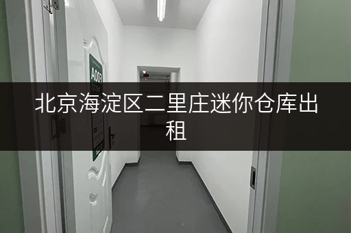 北京海淀区二里庄迷你仓库出租，价格低至100元月！
