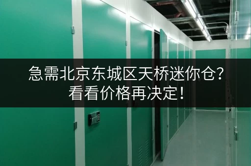 急需北京东城区天桥迷你仓？看看价格再决定！