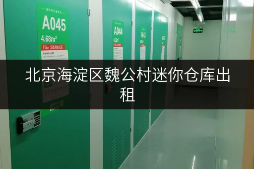 北京海淀区魏公村迷你仓库出租，价格低至100元月！
