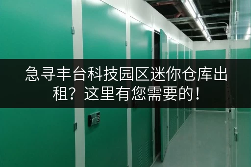 急寻丰台科技园区迷你仓库出租？这里有您需要的！
