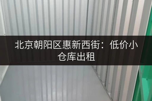 北京朝阳区惠新西街：低价小仓库出租，立即咨询！