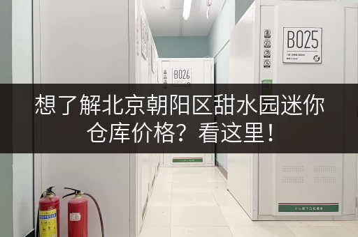 想了解北京朝阳区甜水园迷你仓库价格？看这里！