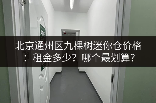 北京通州区九棵树迷你仓价格：租金多少？哪个最划算？