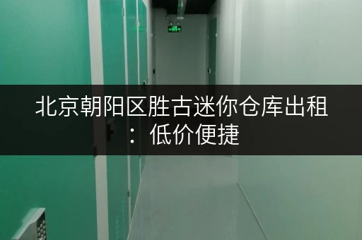 北京朝阳区胜古迷你仓库出租：低价便捷，灵活租赁