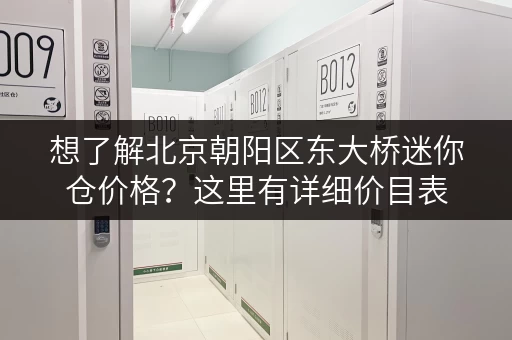 想了解北京朝阳区东大桥迷你仓价格？这里有详细价目表