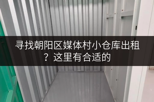 寻找朝阳区媒体村小仓库出租？这里有合适的