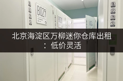 北京海淀区万柳迷你仓库出租：低价灵活，安全可靠！