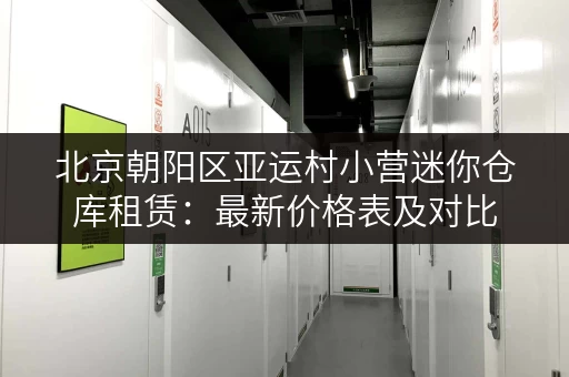北京朝阳区亚运村小营迷你仓库租赁：最新价格表及对比