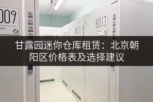 甘露园迷你仓库租赁：北京朝阳区价格表及选择建议
