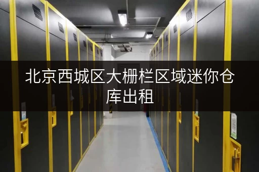 北京西城区大栅栏区域迷你仓库出租，多种尺寸可选