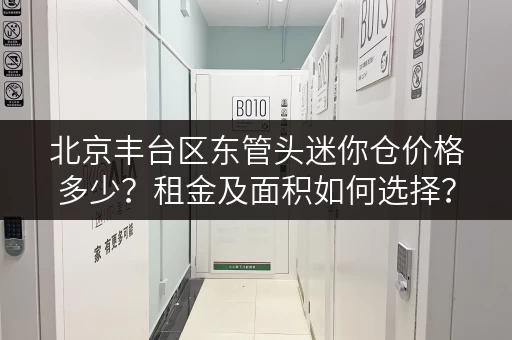 北京丰台区东管头迷你仓价格多少？租金及面积如何选择？