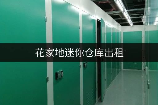 花家地迷你仓库出租，北京朝阳区优质仓储，拎包入住