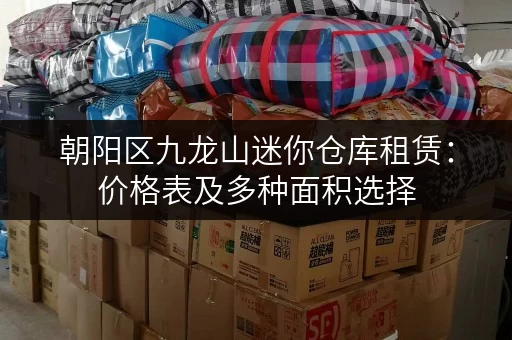 朝阳区九龙山迷你仓库租赁：价格表及多种面积选择