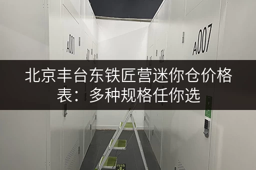 北京丰台东铁匠营迷你仓价格表：多种规格任你选
