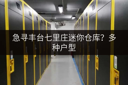 急寻丰台七里庄迷你仓库？多种户型，任您挑选