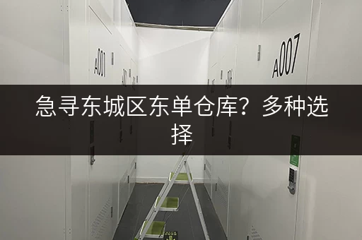 急寻东城区东单仓库？多种选择，价格透明，值得信赖