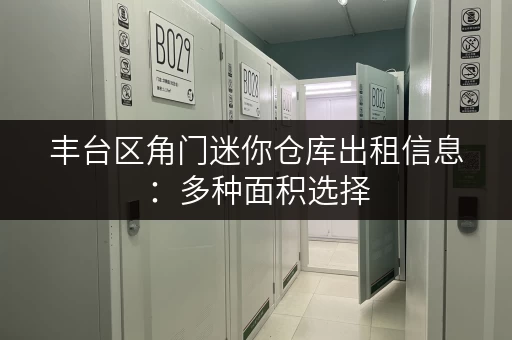丰台区角门迷你仓库出租信息：多种面积选择，满足您的需求！