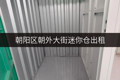 朝阳区朝外大街迷你仓出租，低价租赁，灵活方便！