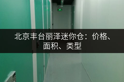 北京丰台丽泽迷你仓：价格、面积、类型，总有一款适合您！