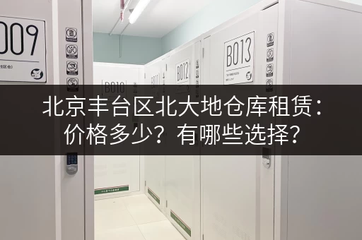 北京丰台区北大地仓库租赁：价格多少？有哪些选择？