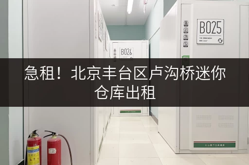 急租！北京丰台区卢沟桥迷你仓库出租，多种户型任选！