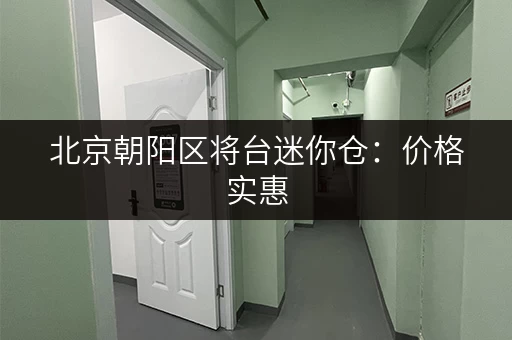 北京朝阳区将台迷你仓：价格实惠，安全可靠，值得信赖！