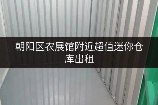 朝阳区农展馆附近超值迷你仓库出租，空间灵活！