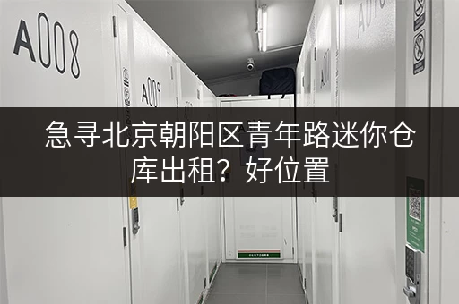 急寻北京朝阳区青年路迷你仓库出租？好位置，好价格！
