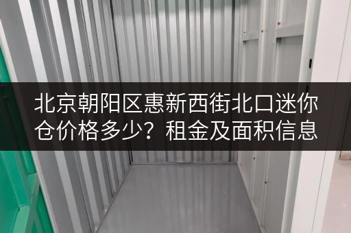 北京朝阳区惠新西街北口迷你仓价格多少？租金及面积信息一览