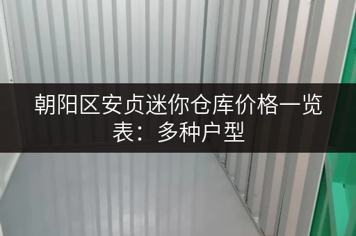 朝阳区安贞迷你仓库价格一览表：多种户型，灵活租赁