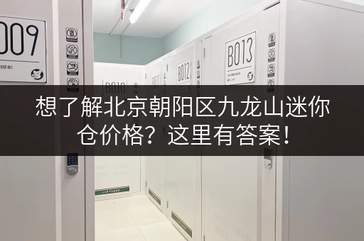 想了解北京朝阳区九龙山迷你仓价格？这里有答案！