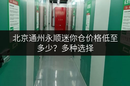 北京通州永顺迷你仓价格低至多少？多种选择，满足您的需求！