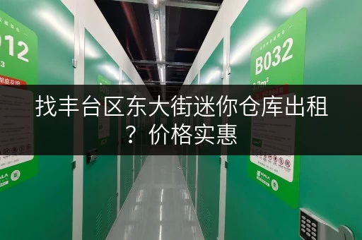 找丰台区东大街迷你仓库出租？价格实惠，位置优越！