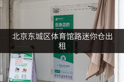 北京东城区体育馆路迷你仓出租，月租低至100元，方便快捷