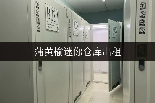 蒲黄榆迷你仓库出租，北京丰台区，多种面积可选