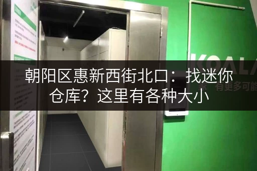 朝阳区惠新西街北口：找迷你仓库？这里有各种大小，价格实惠！
