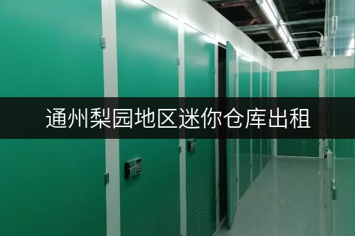 通州梨园地区迷你仓库出租，满足您各种存储需求！