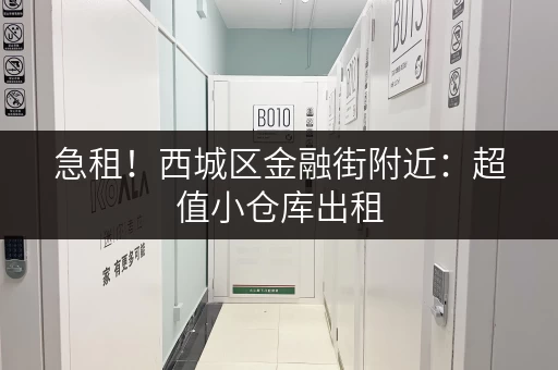 急租！西城区金融街附近：超值小仓库出租