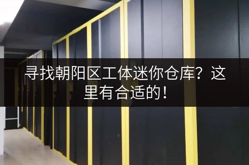 寻找朝阳区工体迷你仓库？这里有合适的！
