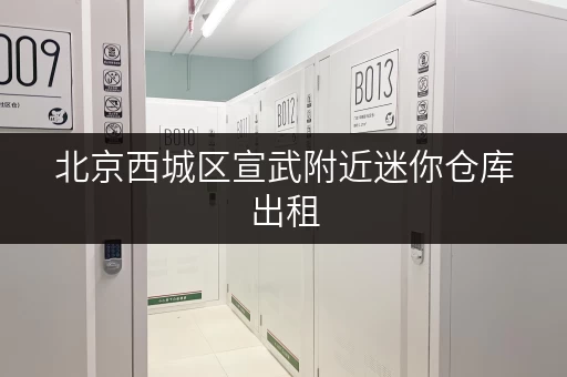 北京西城区宣武附近迷你仓库出租，月租低至百元起