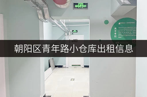 朝阳区青年路小仓库出租信息，月租日租任您选择，欢迎咨询！