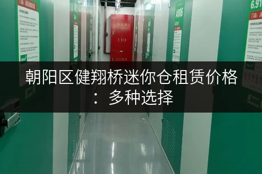 朝阳区健翔桥迷你仓租赁价格：多种选择，总有一款适合你